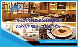 5 LỢI ÍCH KHI SỬ DỤNG GIẤY VỆ SINH CUỘN LỚN