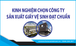 Kinh nghiệm chọn công ty sản xuất giấy vệ sinh chất lượng