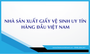 Nhà Sản Xuất Xuất Khẩu Giấy Vệ Sinh Uy Tín Hàng Đầu Việt Nam