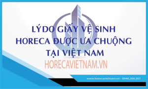 Lý Do Giấy Vệ Sinh Tại Horeca Việt Nam Được Ưa Chuộng