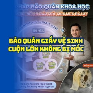 Hướng dẫn bảo quản giấy vệ sinh mùa mưa Đà Lạt tại Horeca Việt Nam